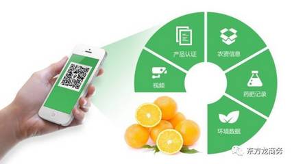 智慧重構(gòu)冷鏈 電商“龍身”如何錨定最后三公里？